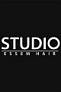 Studio professional